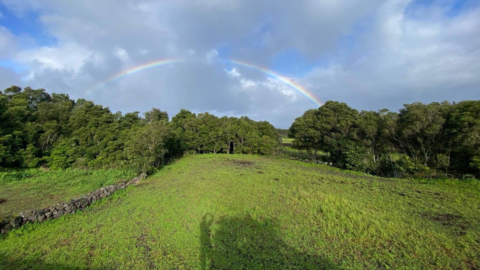Mágia na Terra